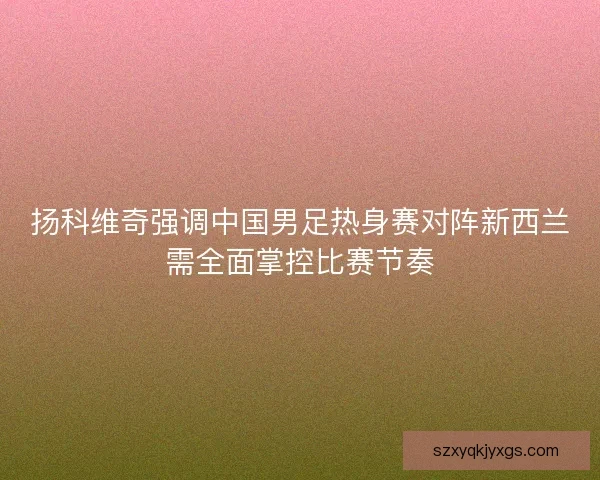 扬科维奇强调中国男足热身赛对阵新西兰需全面掌控比赛节奏