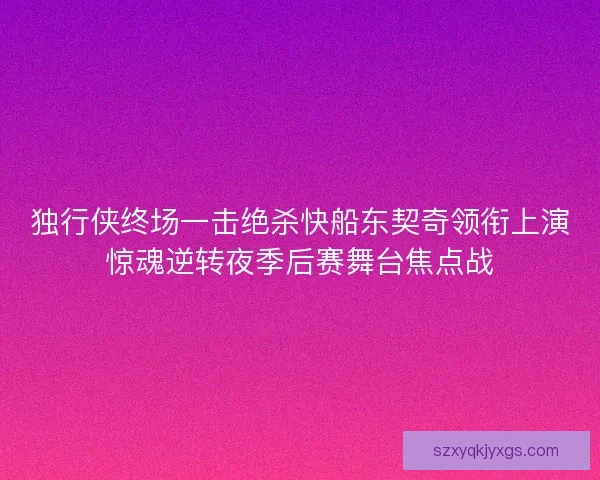 独行侠终场一击绝杀快船东契奇领衔上演惊魂逆转夜季后赛舞台焦点战