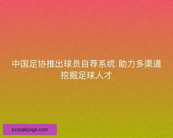 中国足协推出球员自荐系统 助力多渠道挖掘足球人才